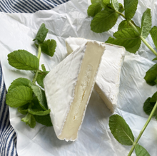 Load image into Gallery viewer, Little Chardy