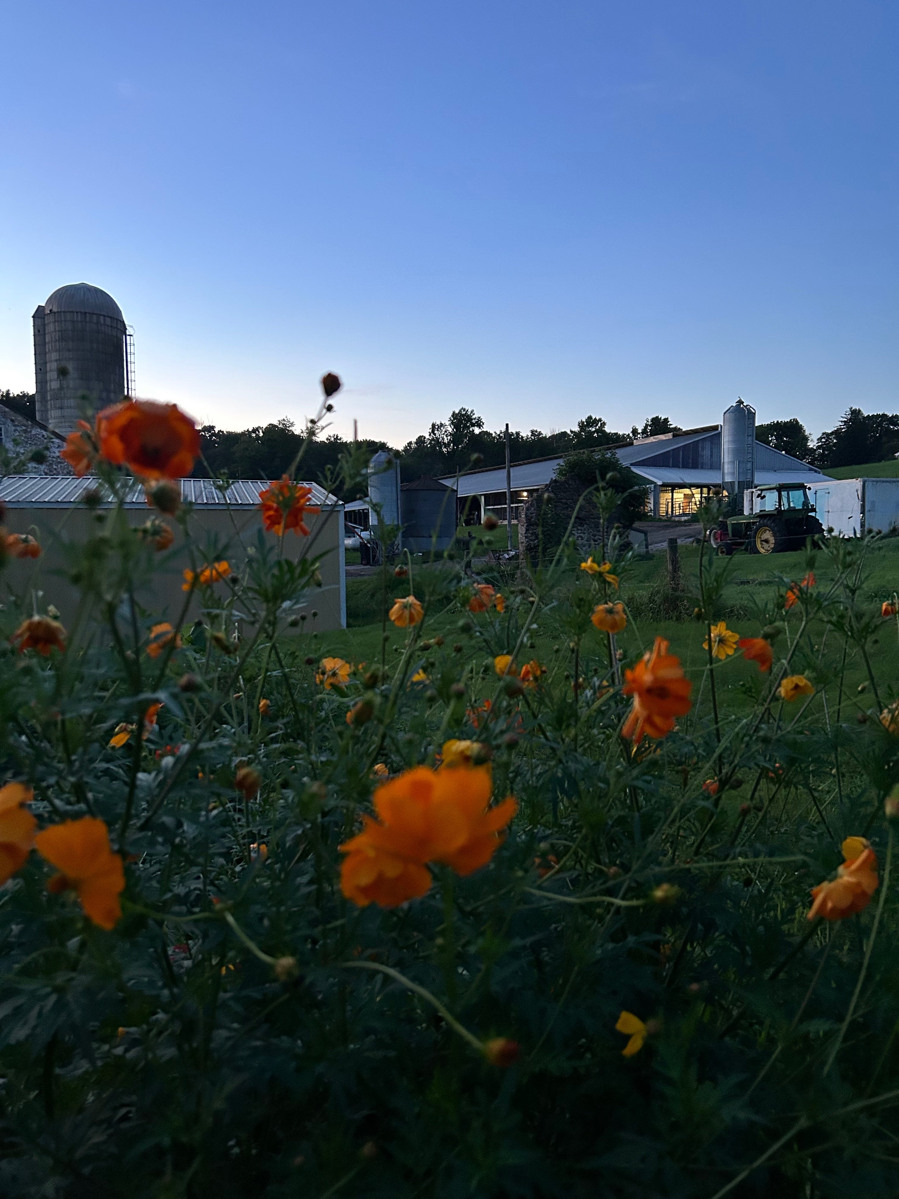 Autumn Farmstead Experience at Birchrun Hills Farm