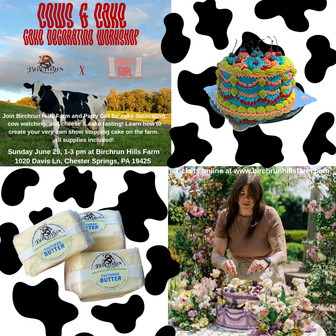 Cows & Cake: A cake decorating workshop with Party Girl