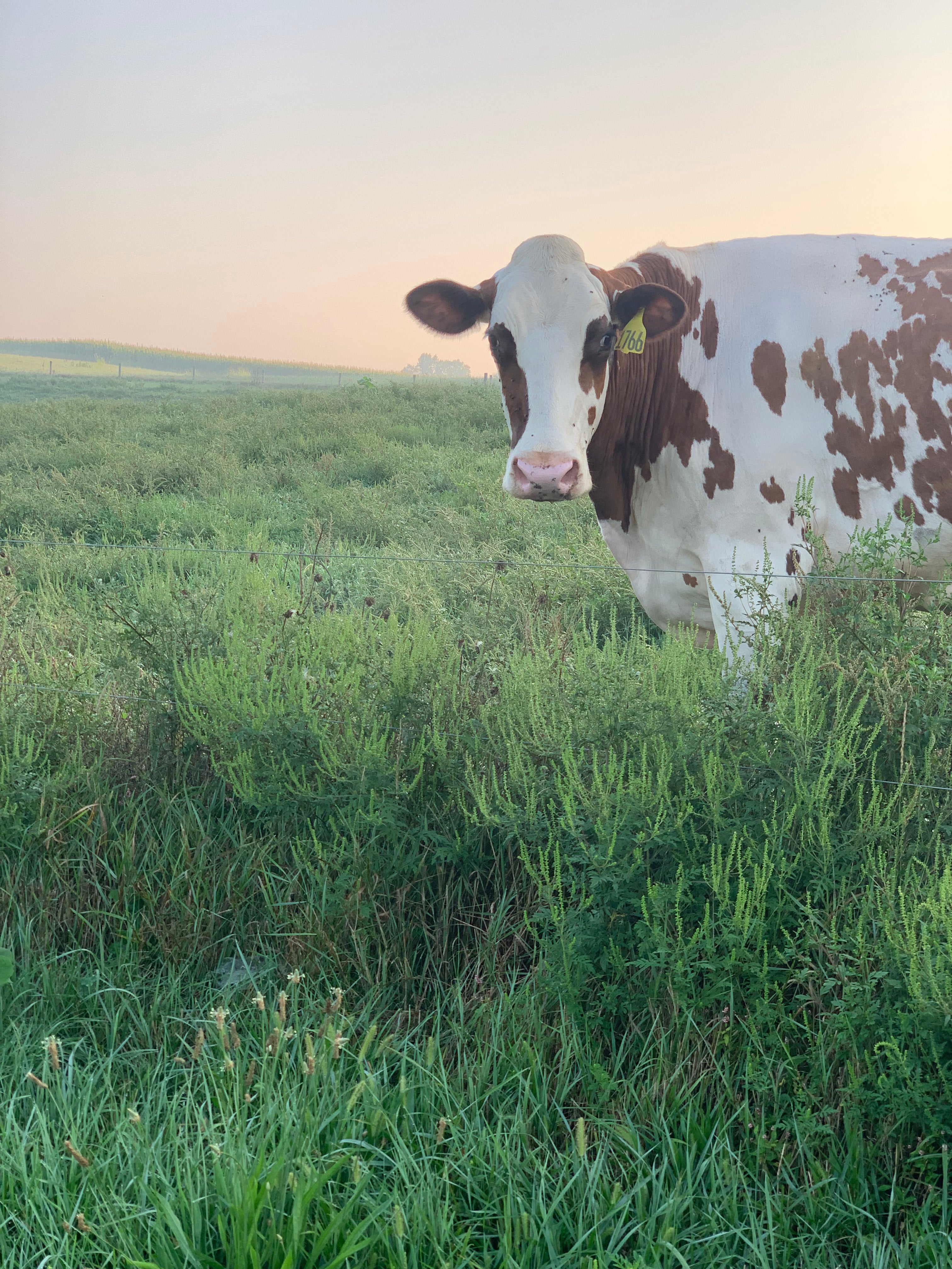 Autumn Farmstead Experience at Birchrun Hills Farm