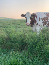 Load image into Gallery viewer, Autumn Farmstead Experience at Birchrun Hills Farm
